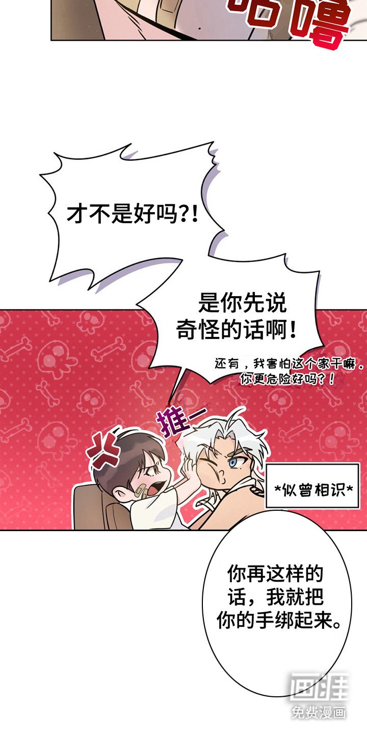 第11章：带回家