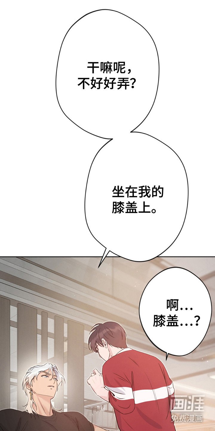 第13章：征求同意