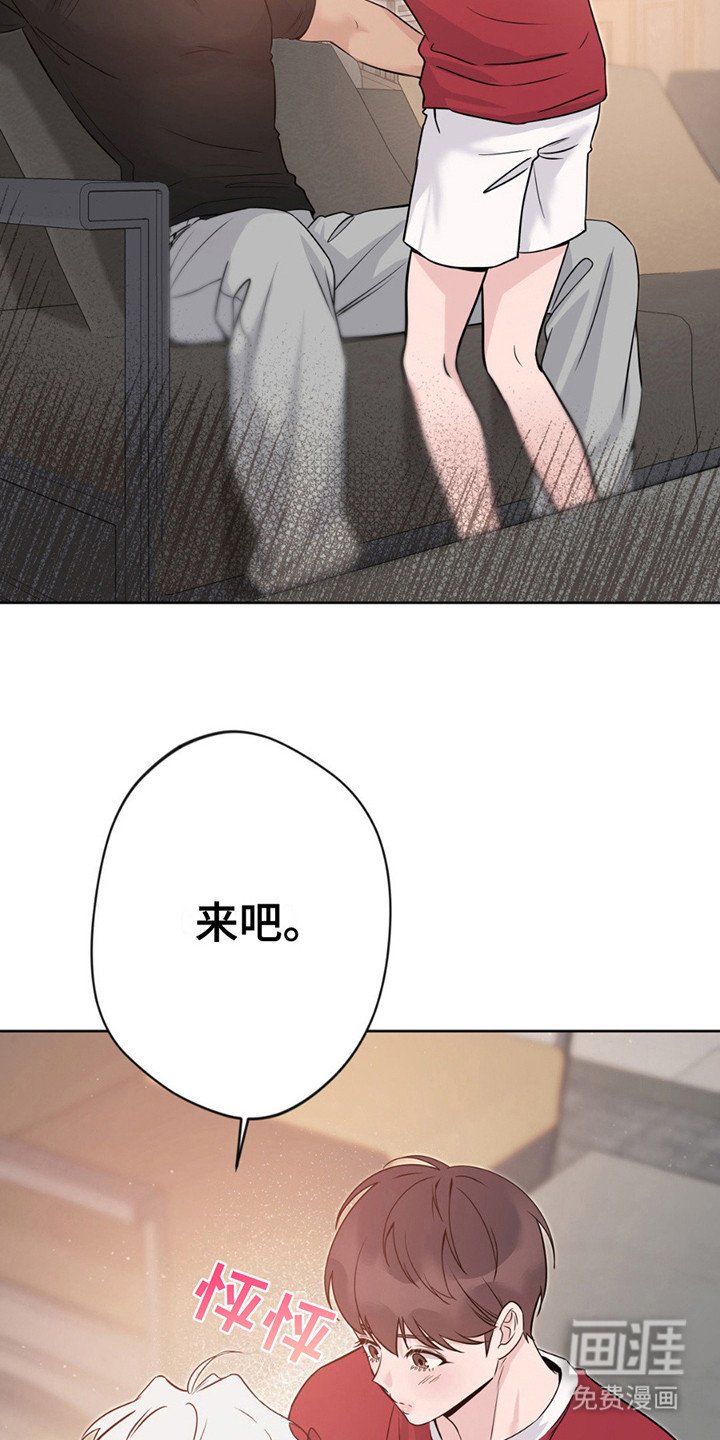 第13章：征求同意