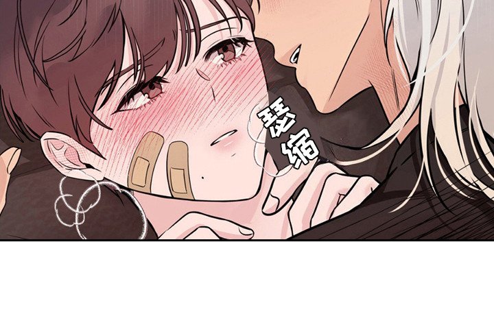 第13章：征求同意