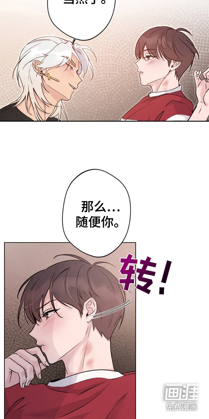 第13章：征求同意
