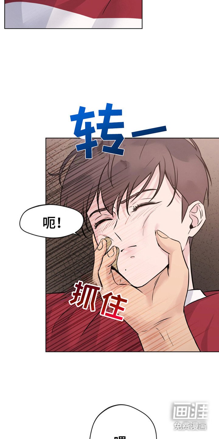 第13章：征求同意