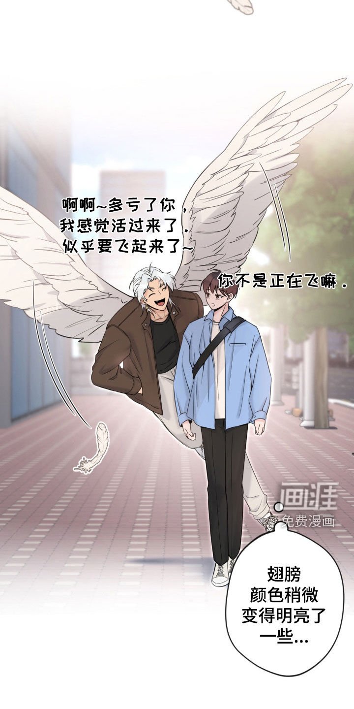 第16章：担忧