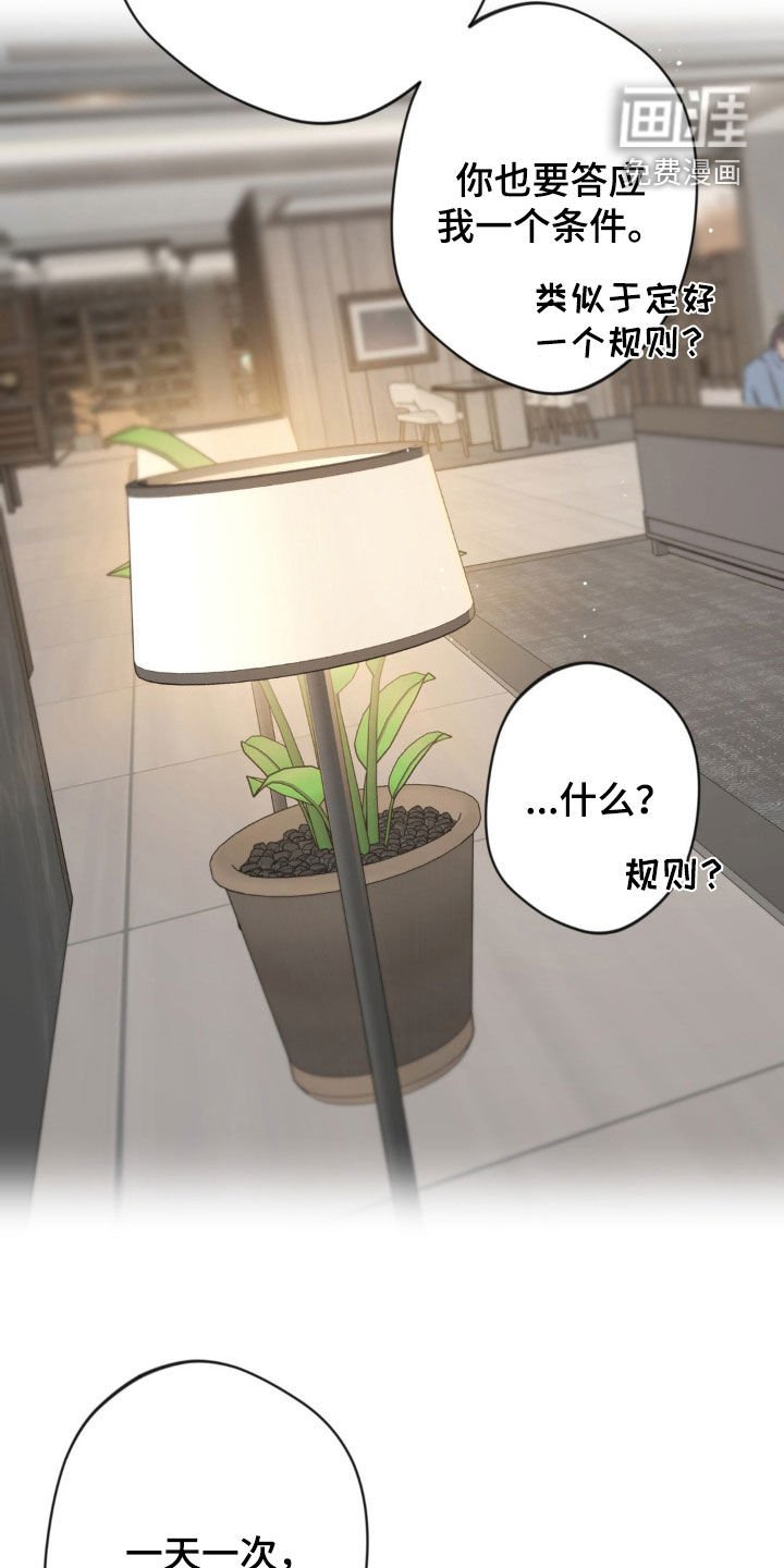 第17章：条件