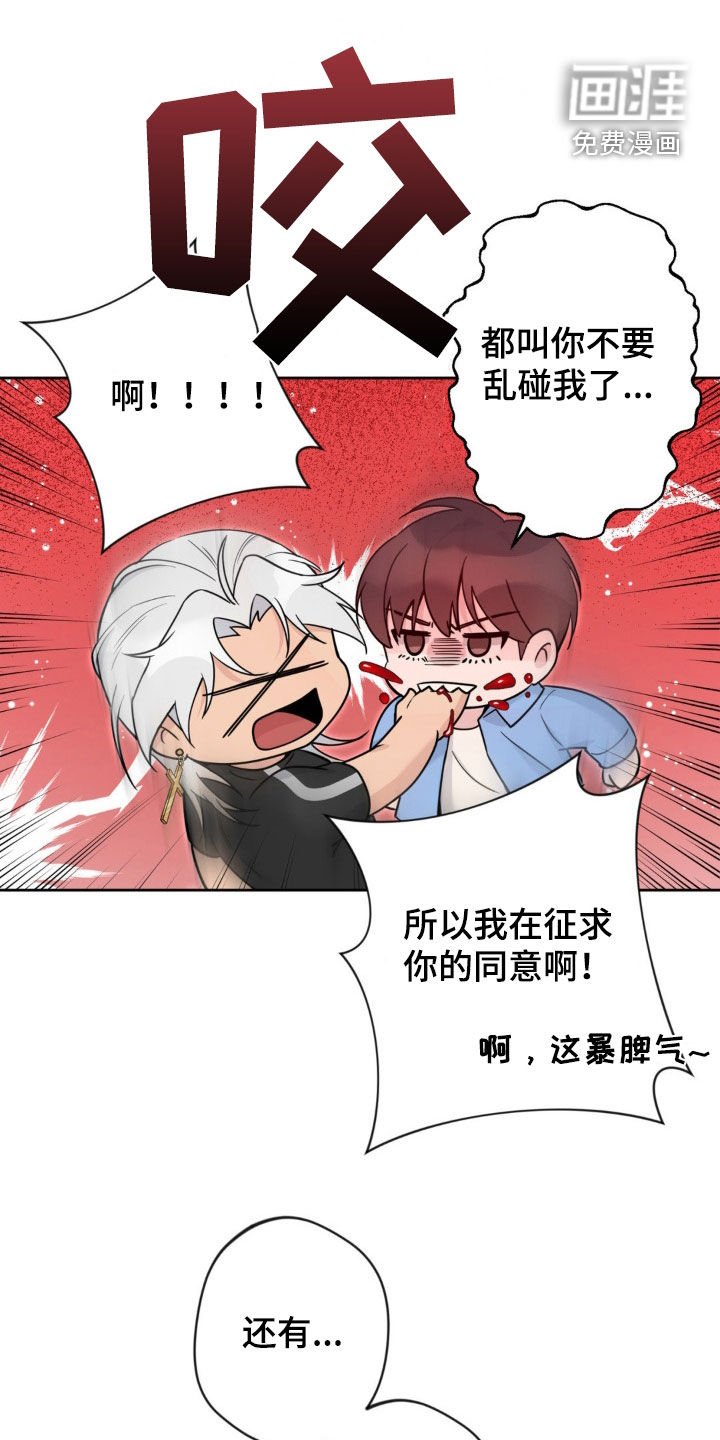 第17章：条件