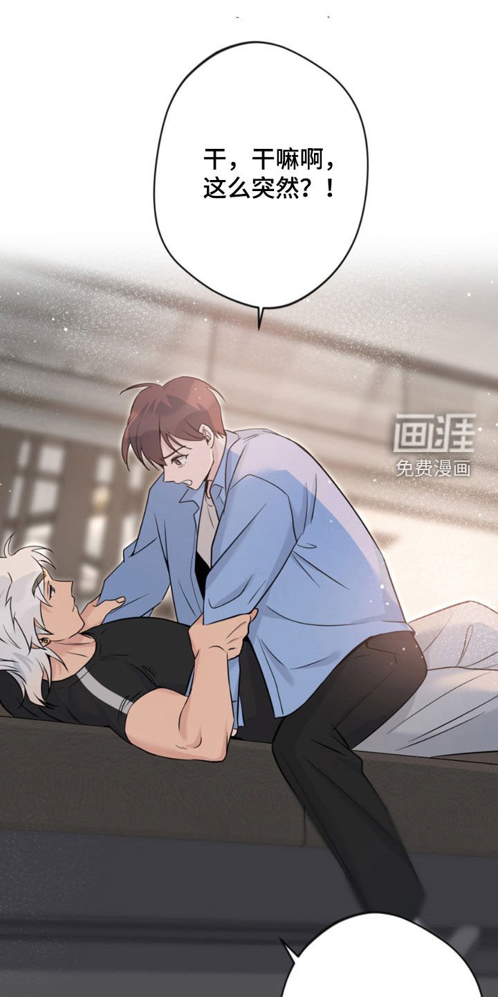 第17章：条件