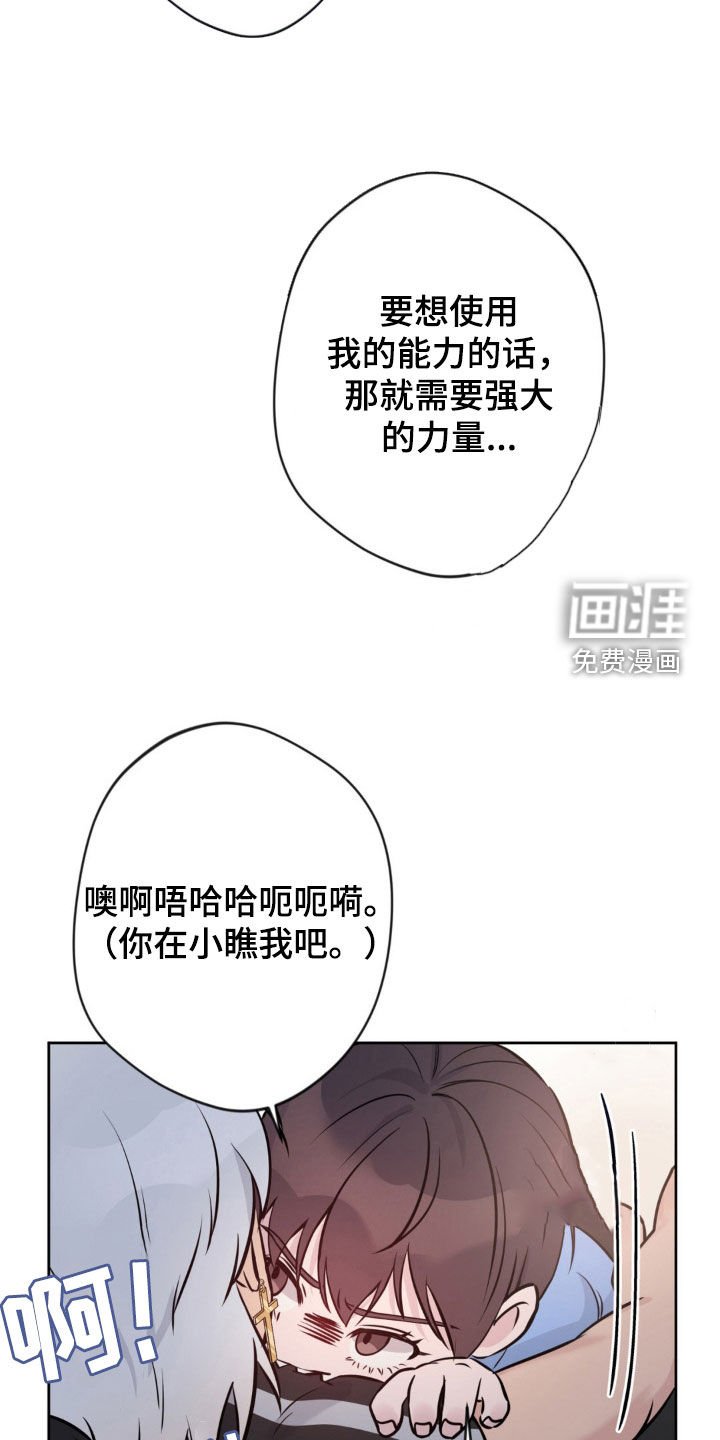 第17章：条件