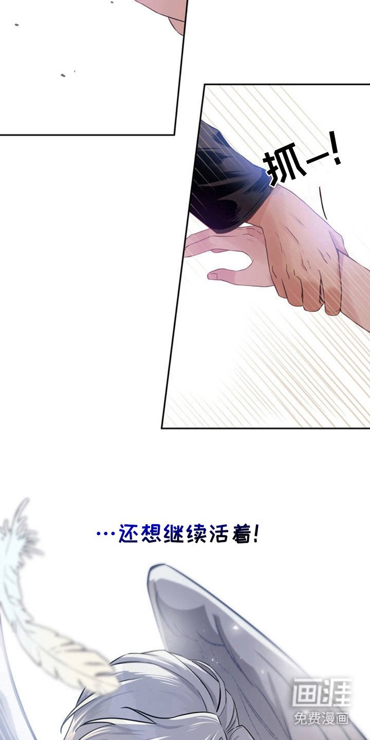 第3章：天使