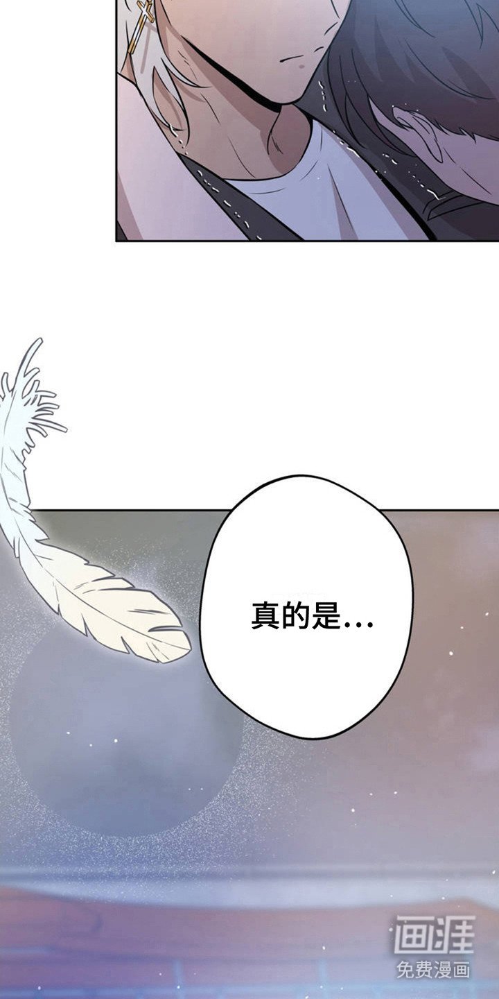 第3章：天使