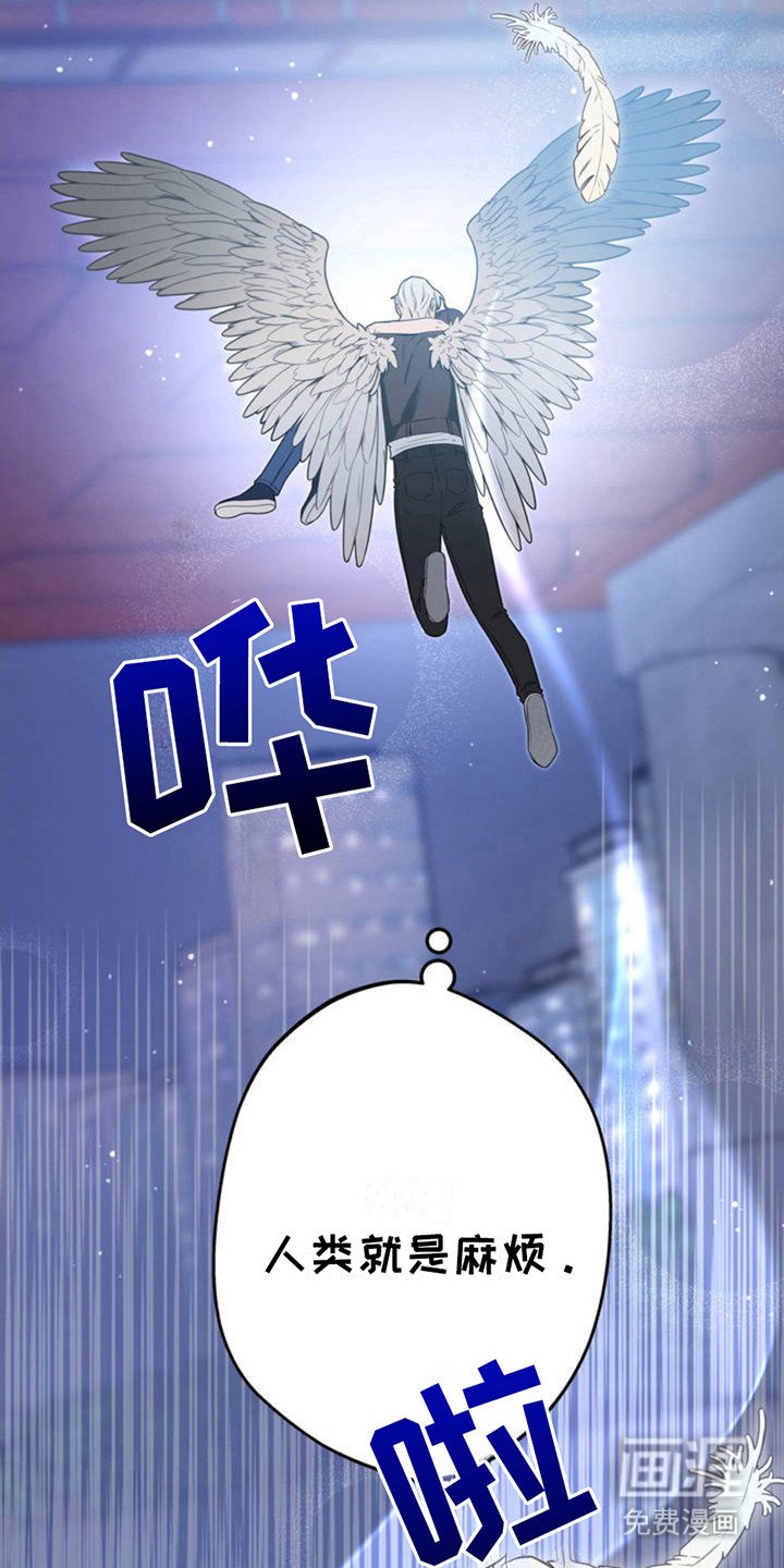 第3章：天使