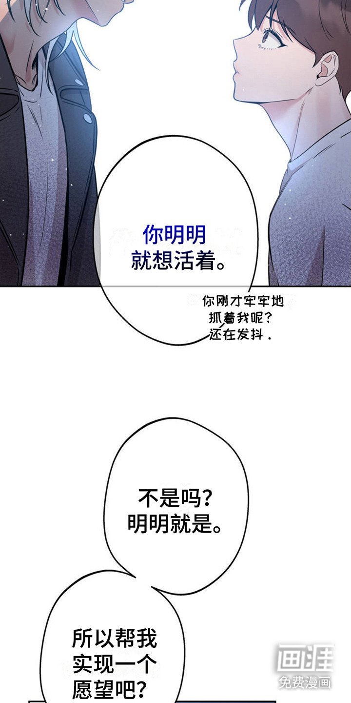 第3章：天使