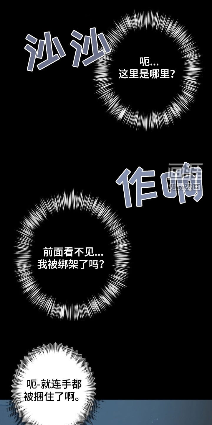 第38章：绑架