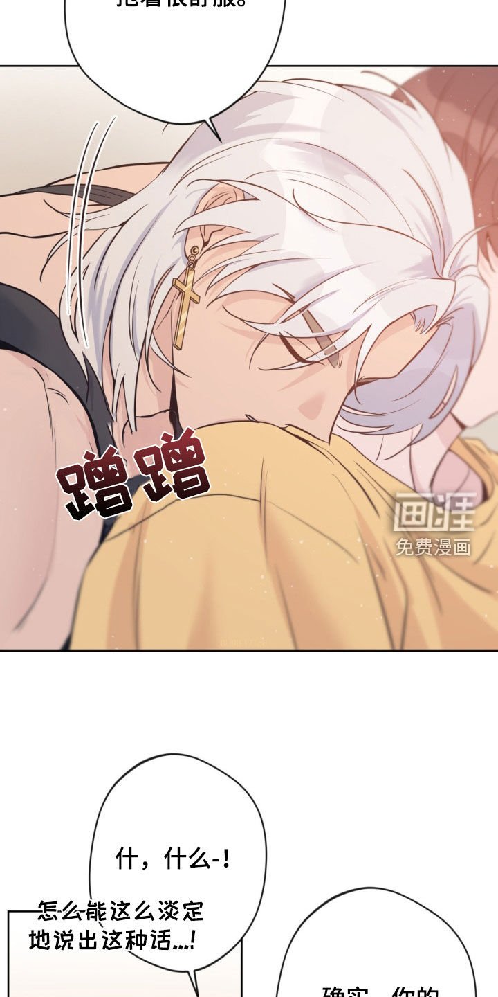 第40章：前契约