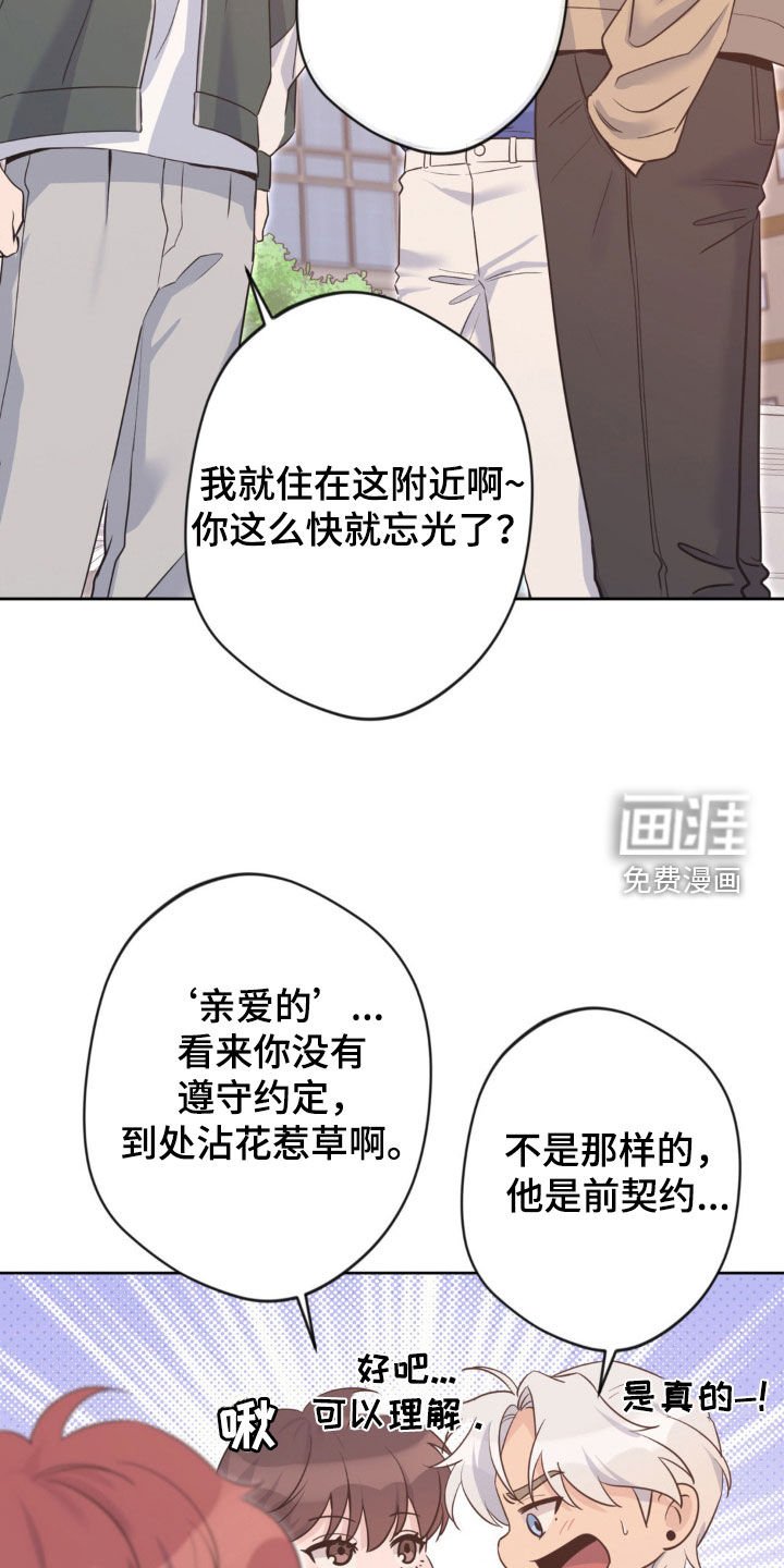 第40章：前契约