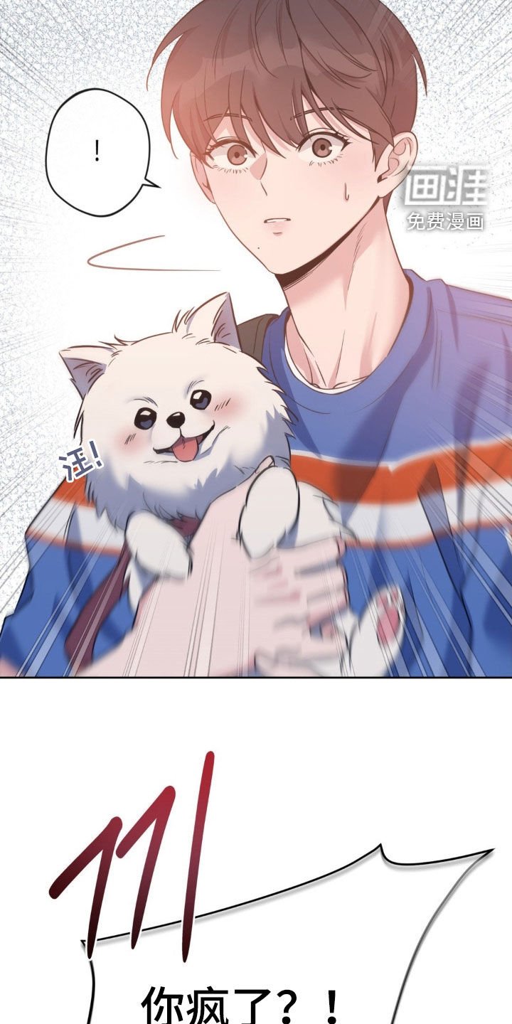 第42章：【第二季】游乐园