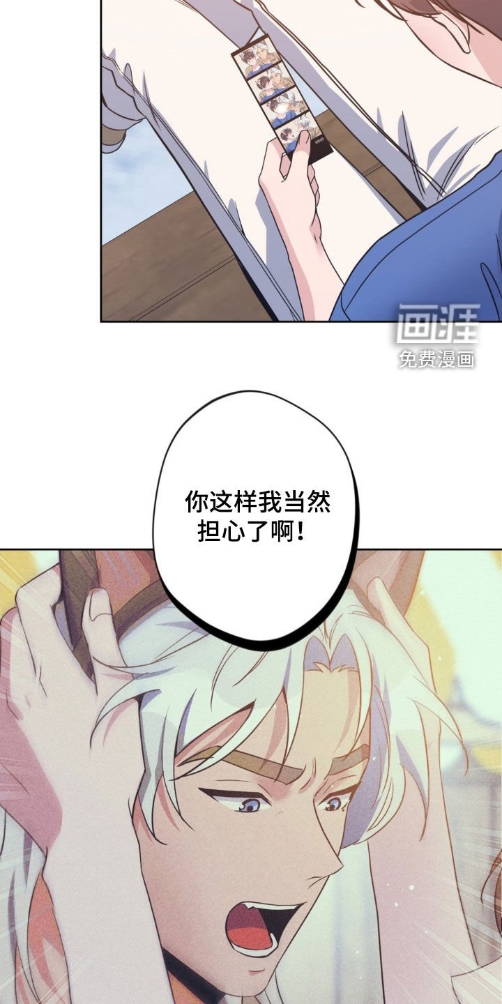 第43章：【第二季】不一样的感情
