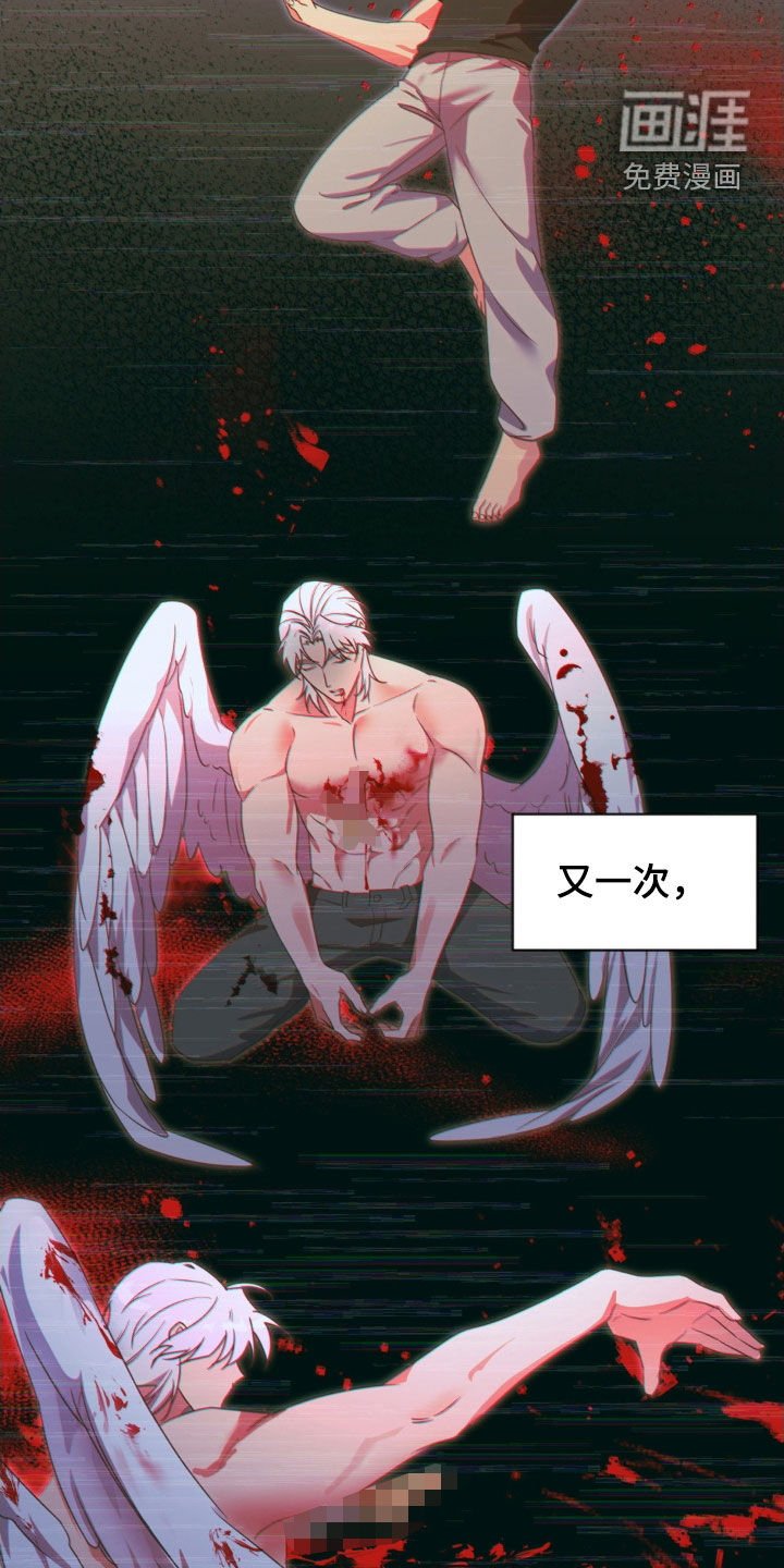 第51章：【第二季】确认