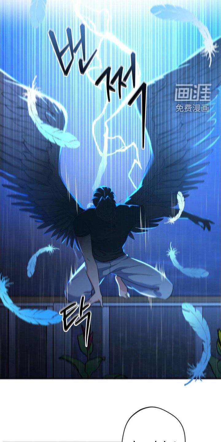 第51章：【第二季】确认