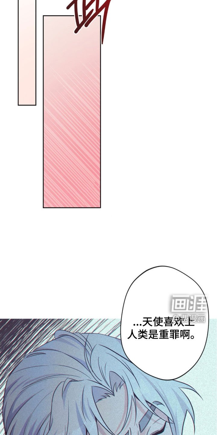 第56章：【第二季】又想犯罪