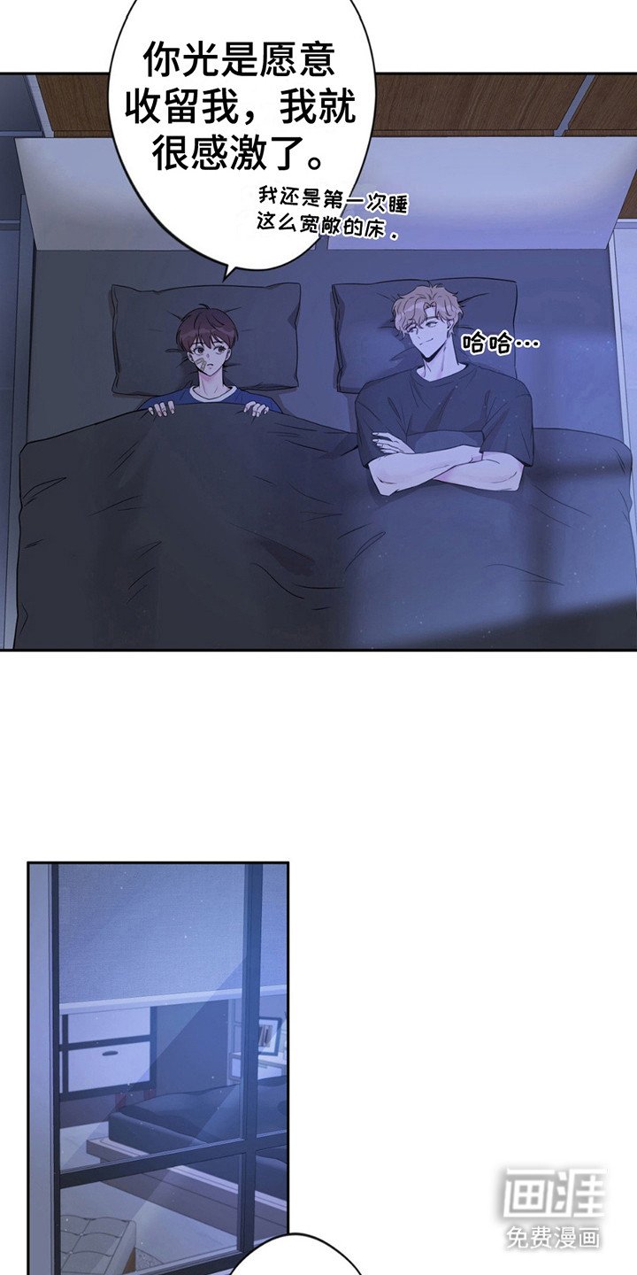 第6章：做梦