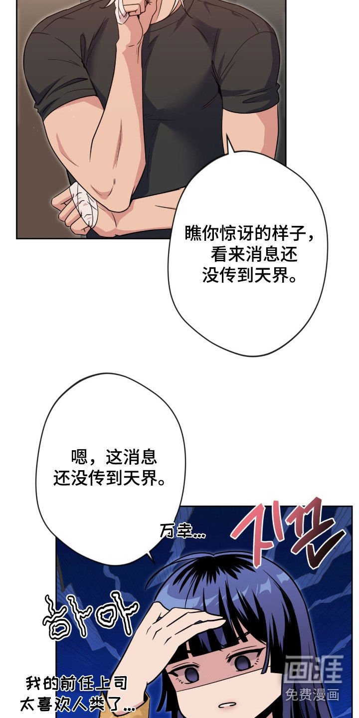 第71章：【第二季】好消息