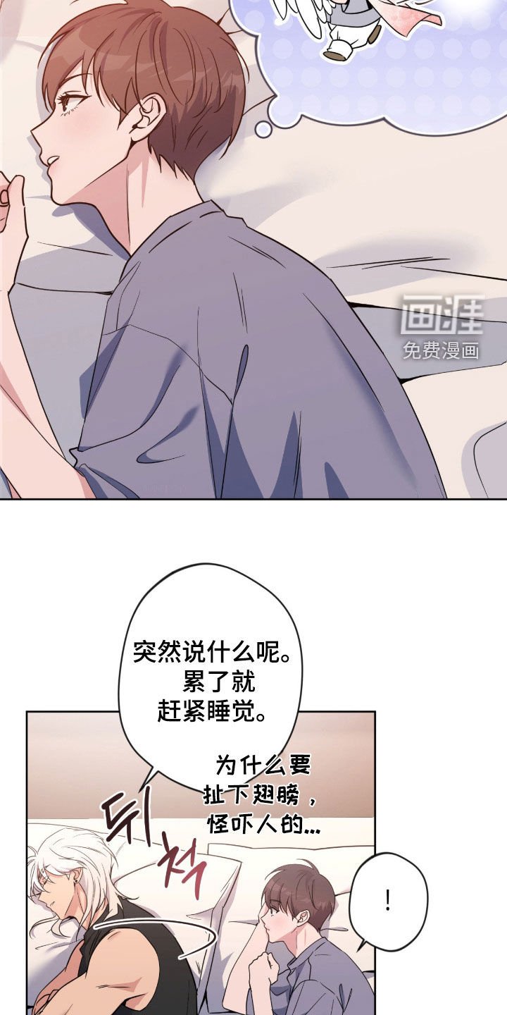 第74章：【第二季】结束契约