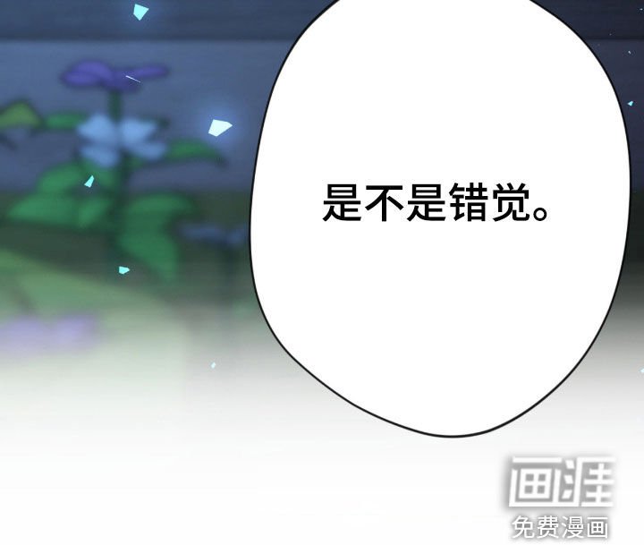 第76章：【第二季】那就试试吧