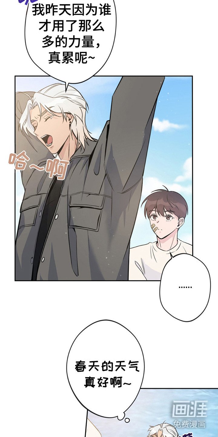 第8章：提议