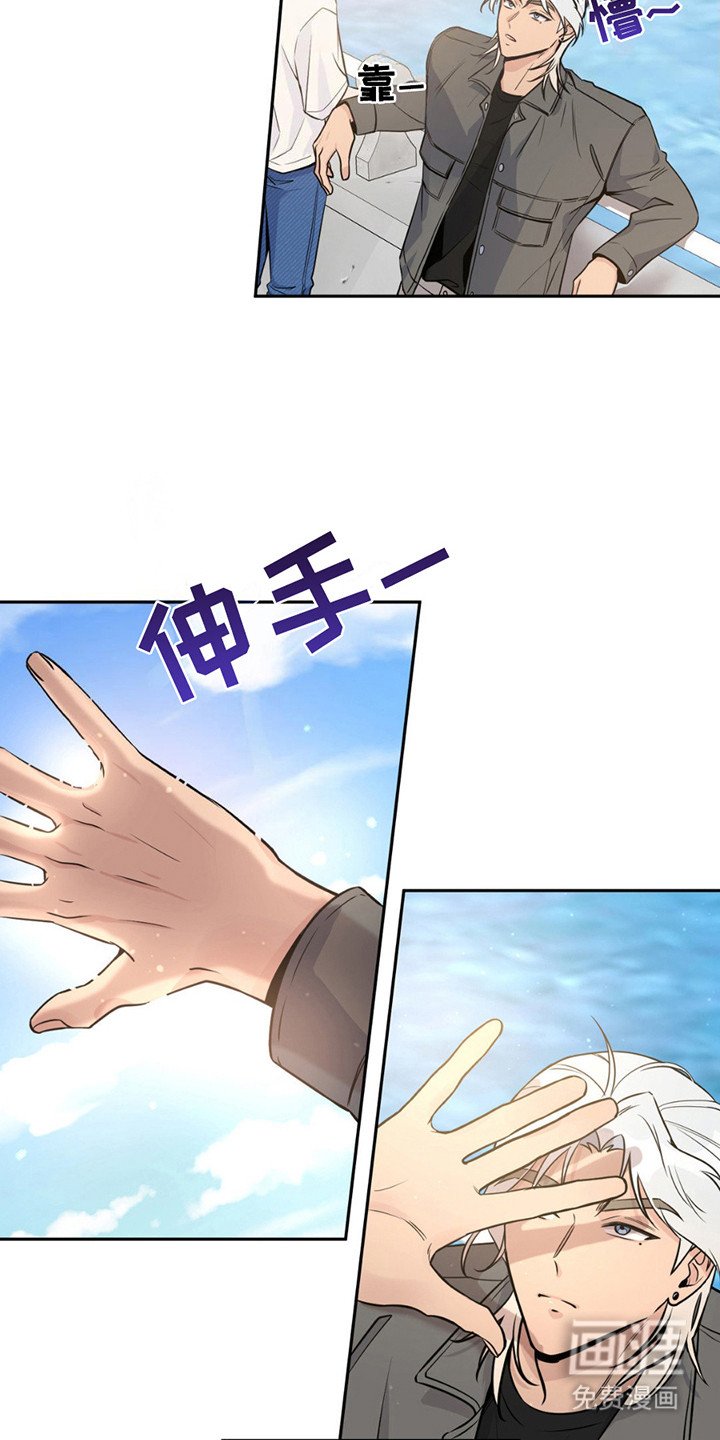 第8章：提议