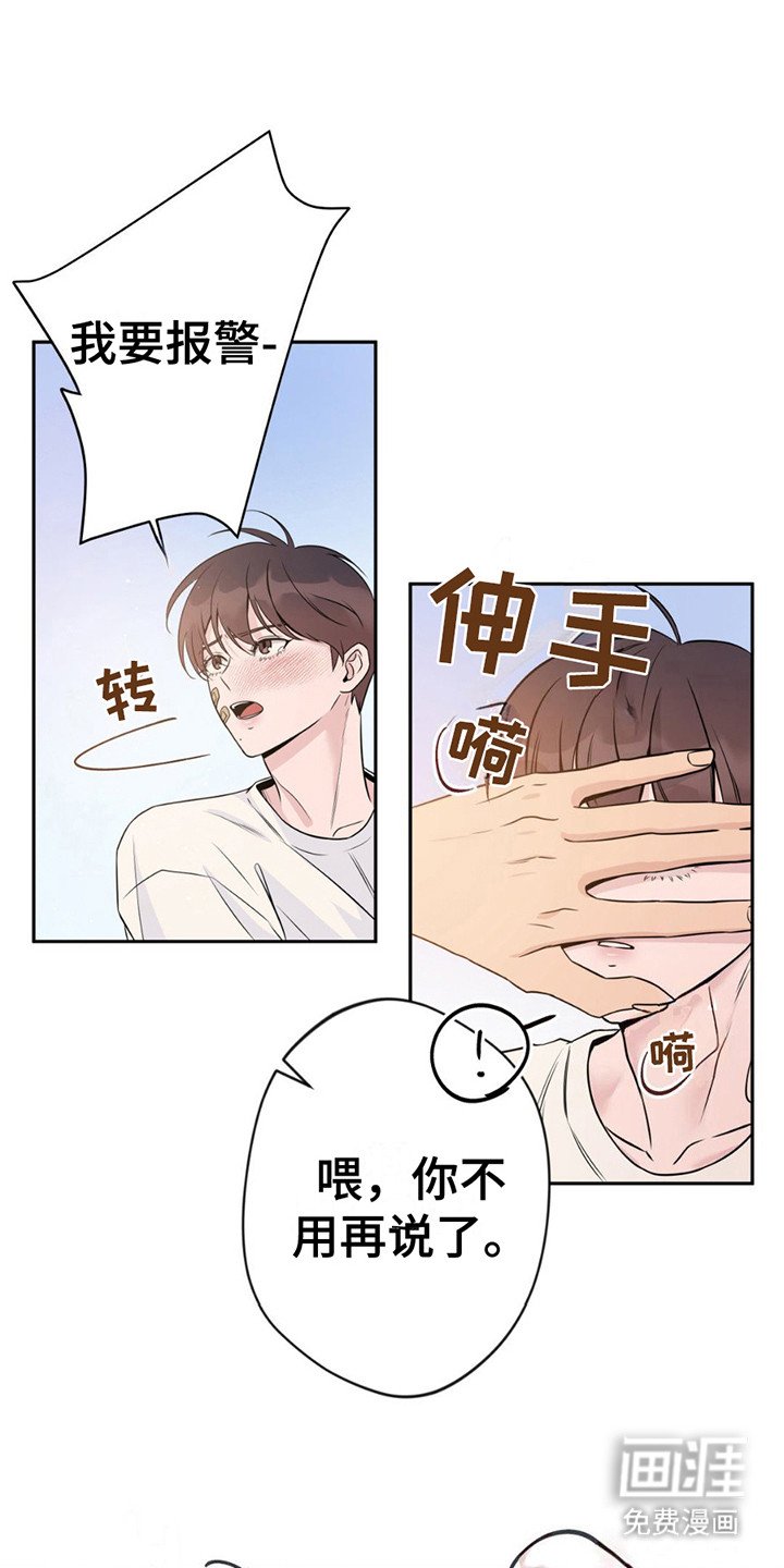 第8章：提议