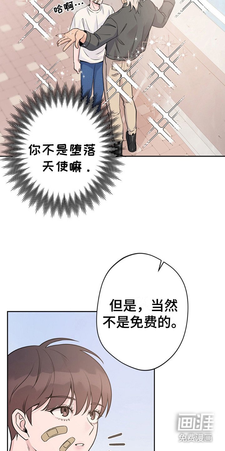 第8章：提议
