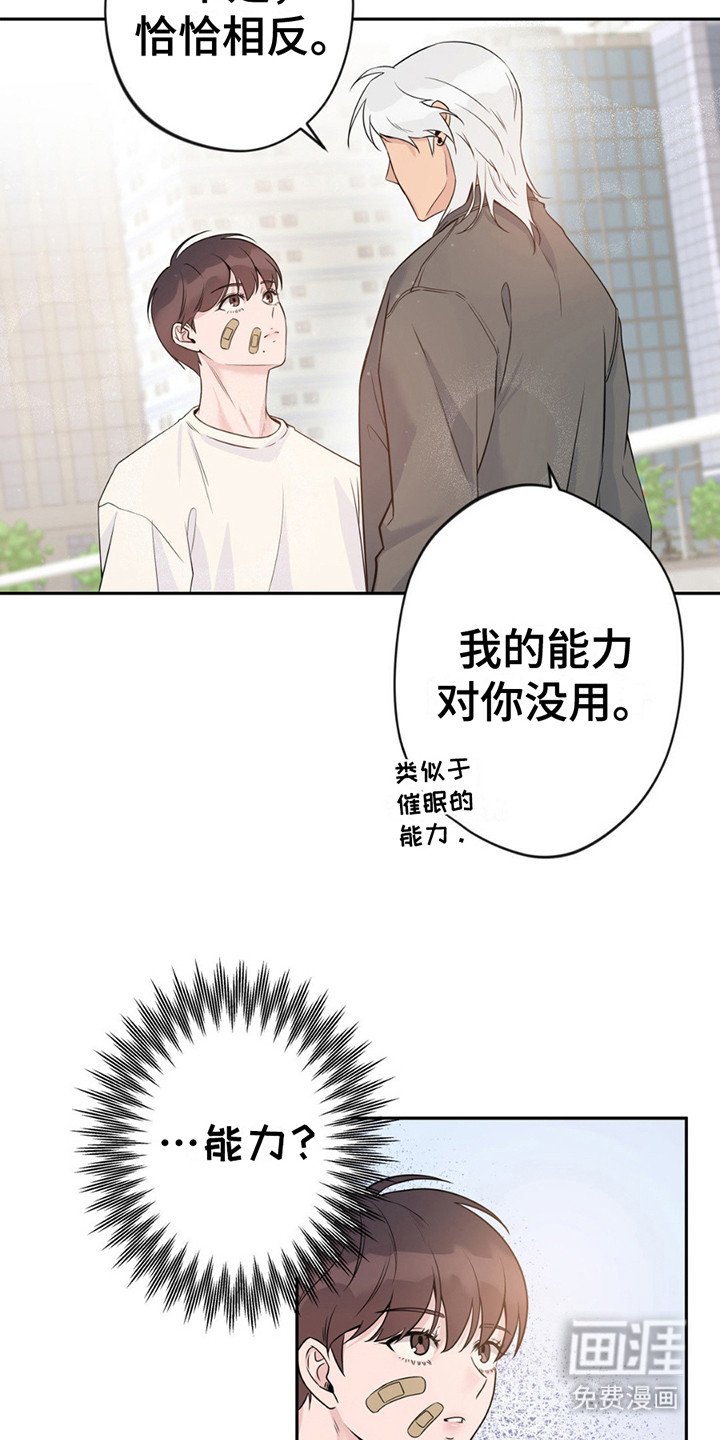 第8章：提议