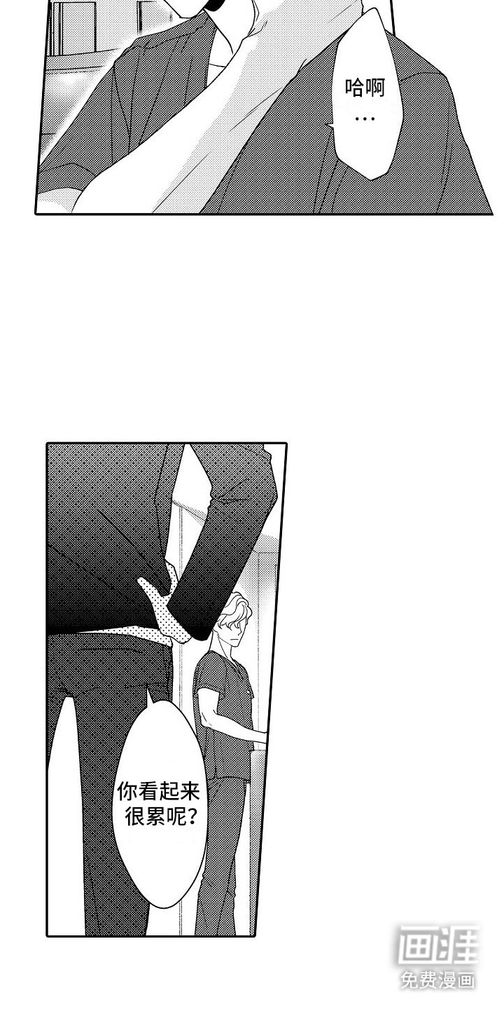 第16章：名花有主