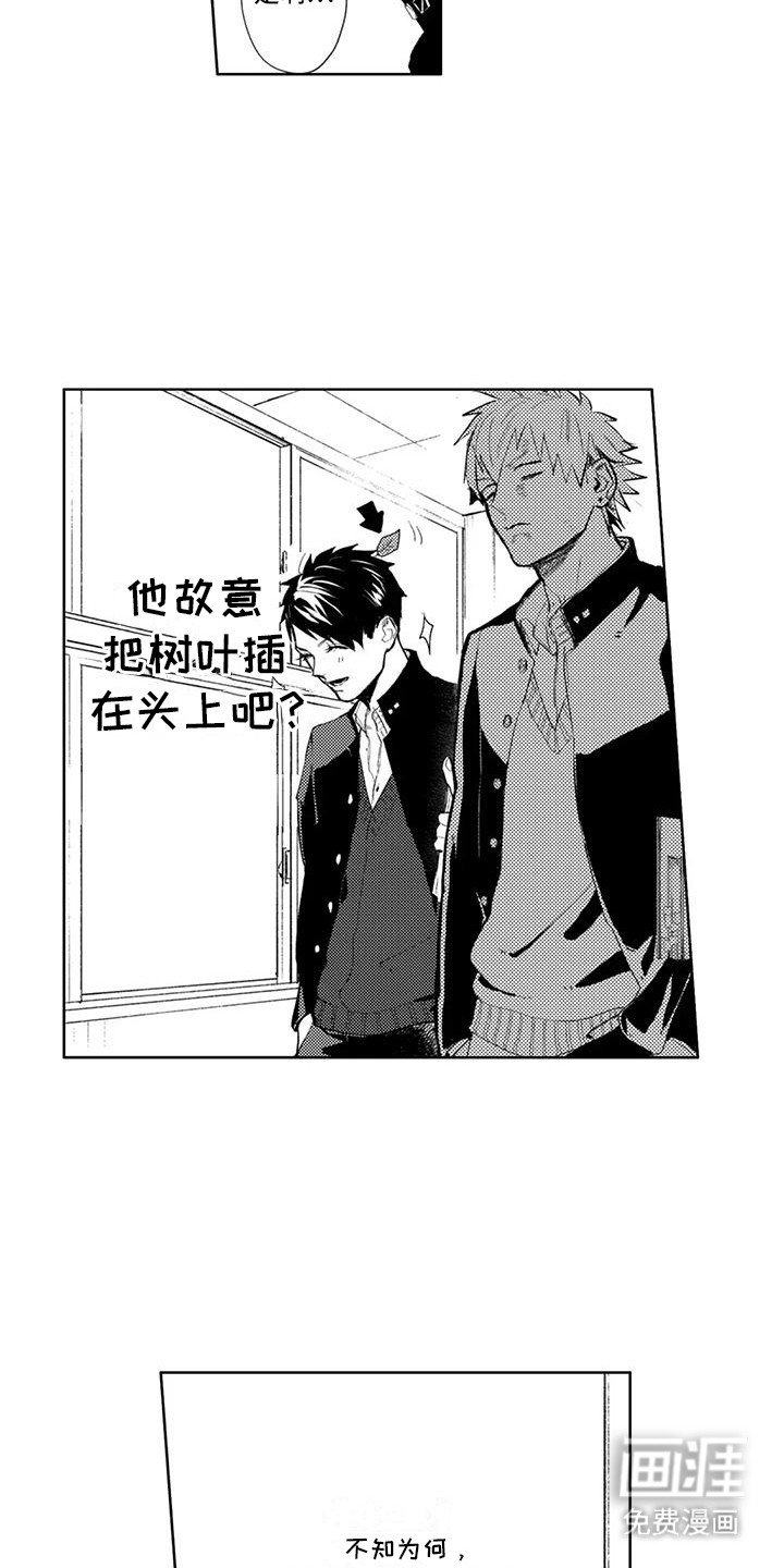 第11章：他太喜欢我了