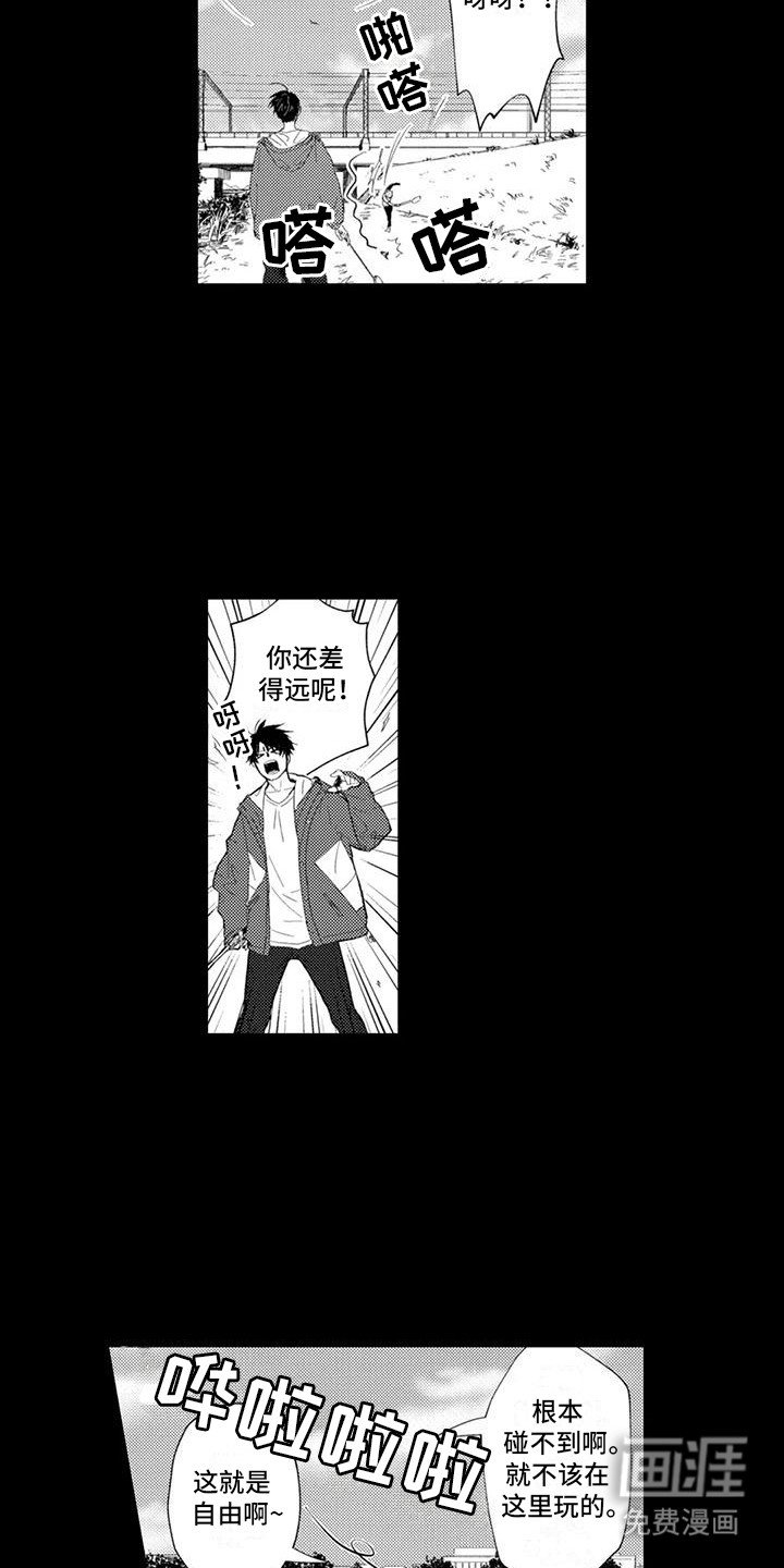 第21章：朋友