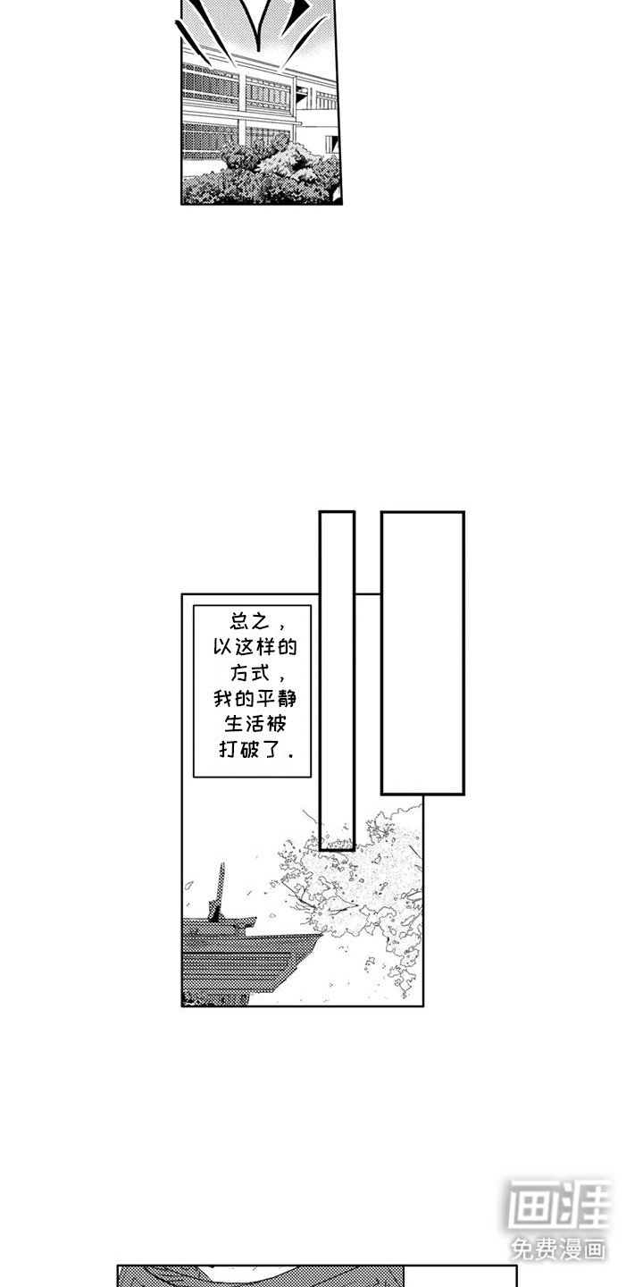 第5章：他喜欢我
