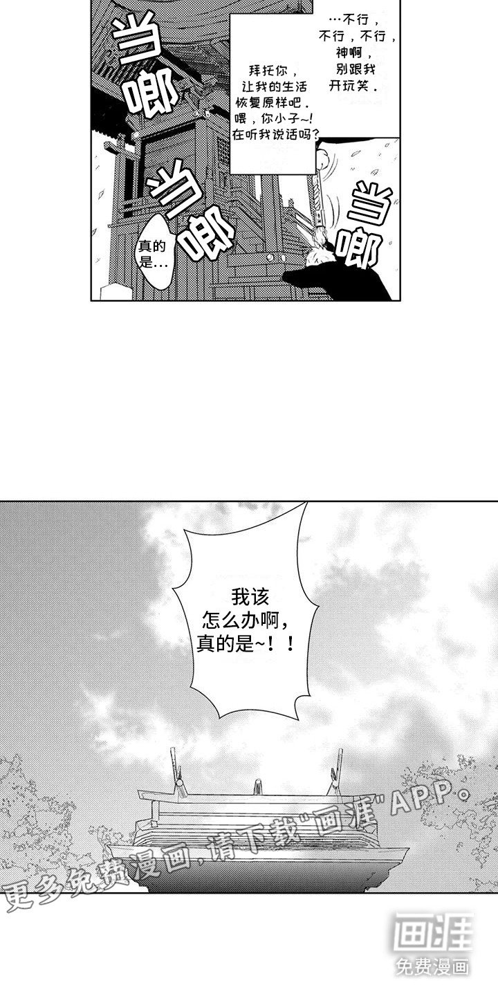 第5章：他喜欢我