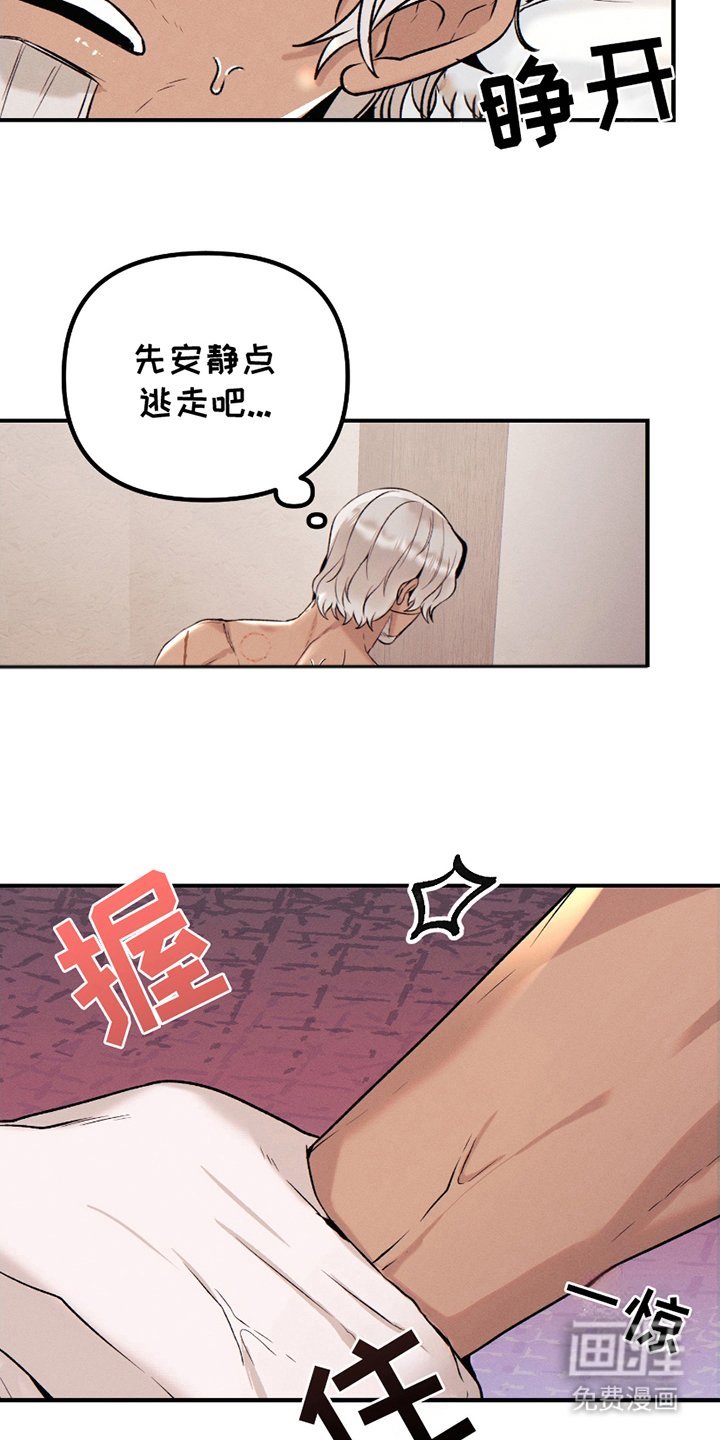 第3章：合同