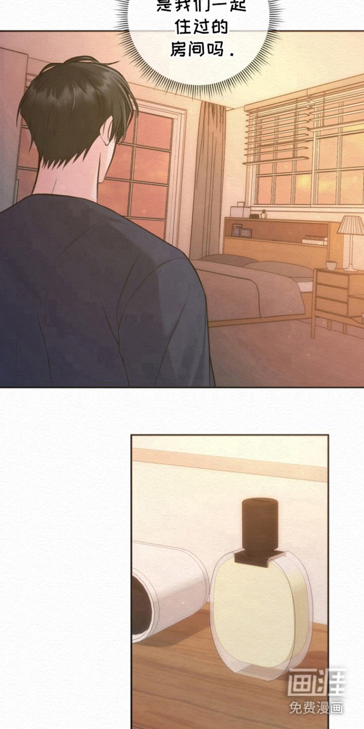 第16章：记忆丧失