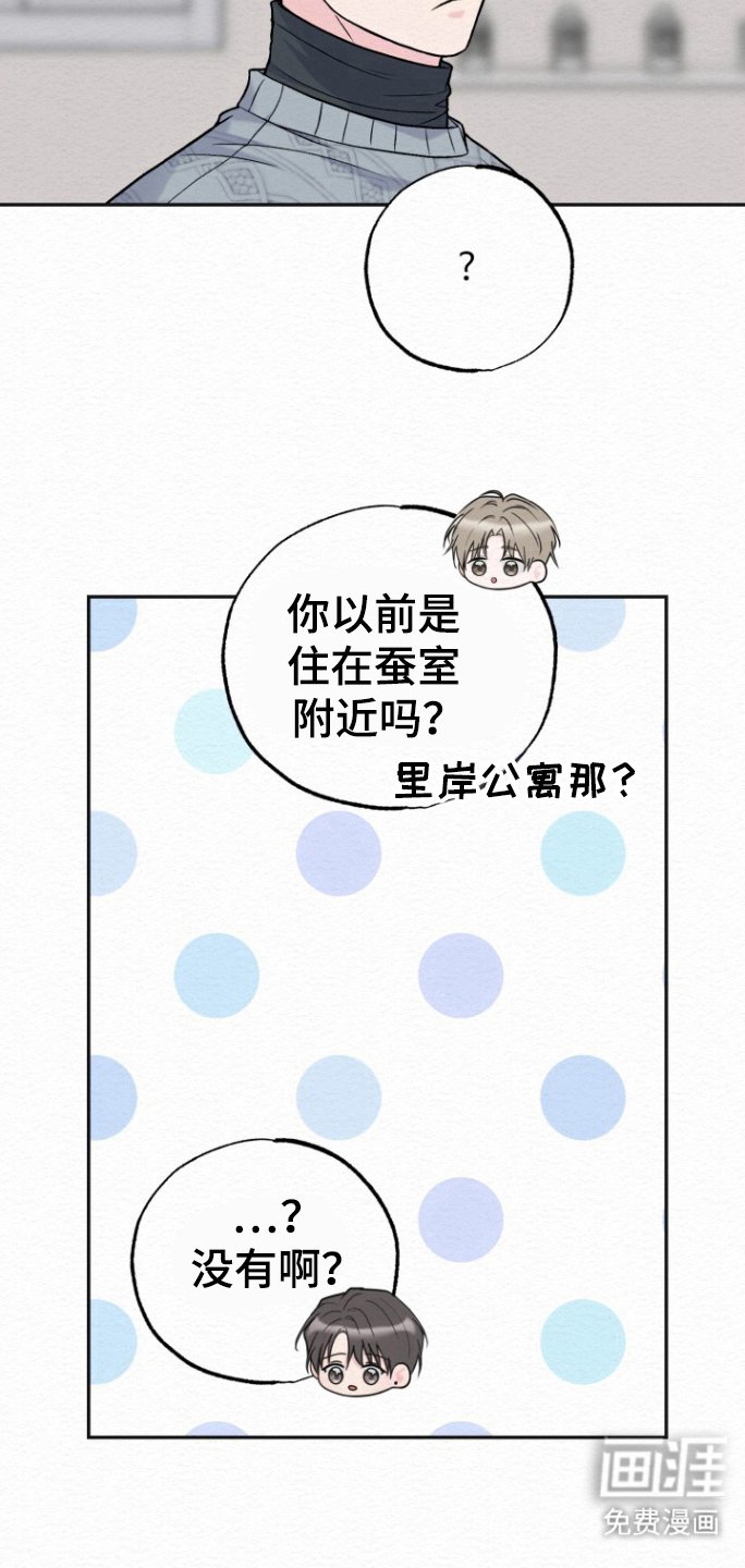 第21章：里岸公寓