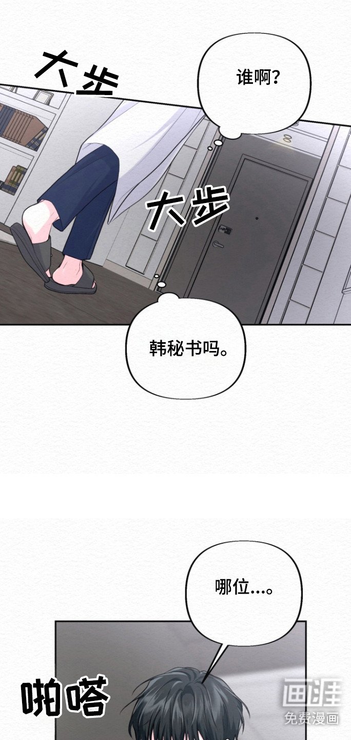 第28章：试探