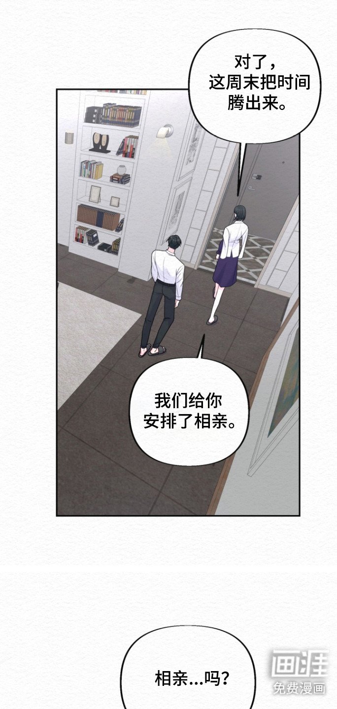 第29章：相亲