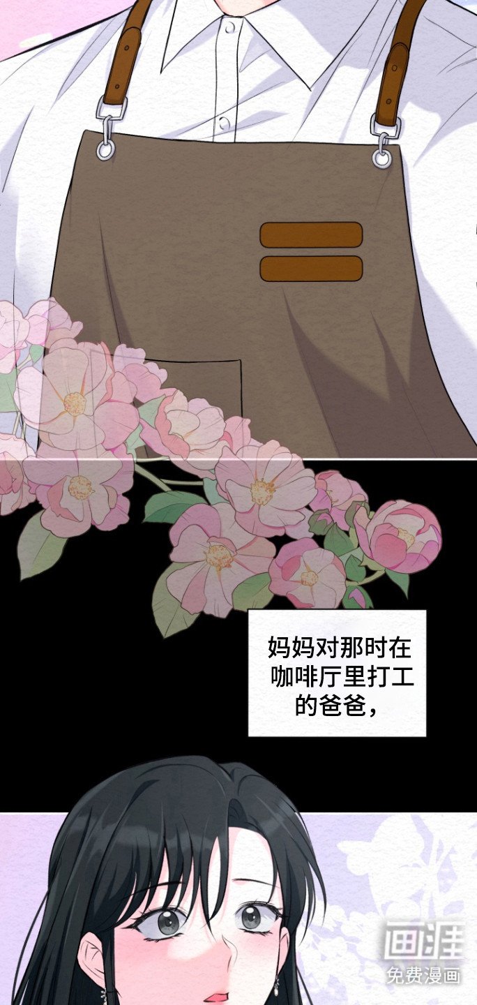 第29章：相亲