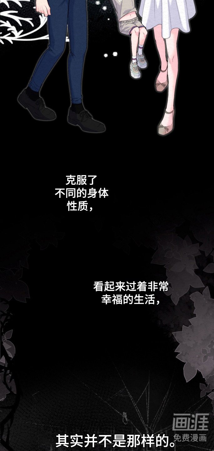 第29章：相亲