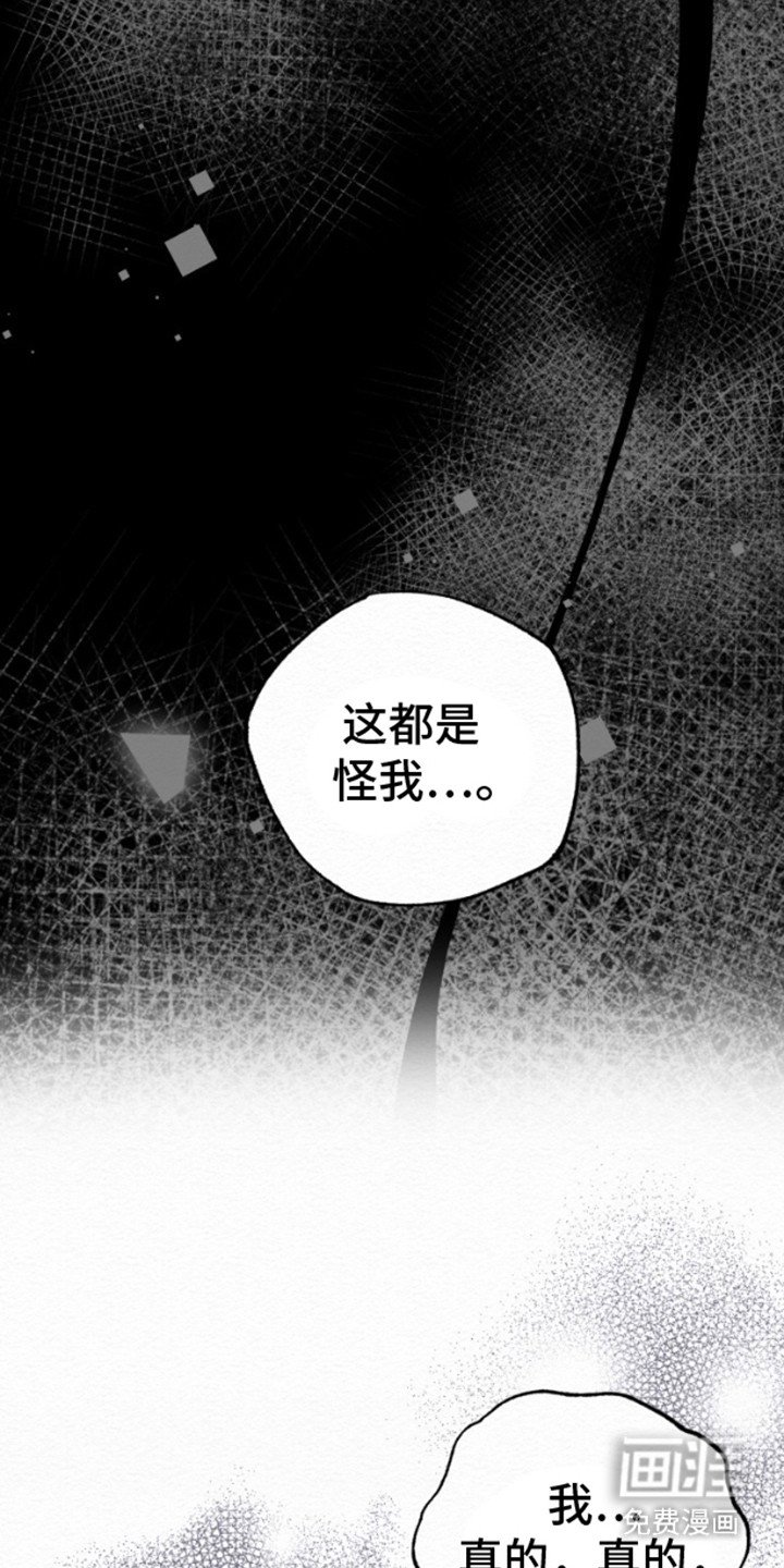 第4章：说明情况