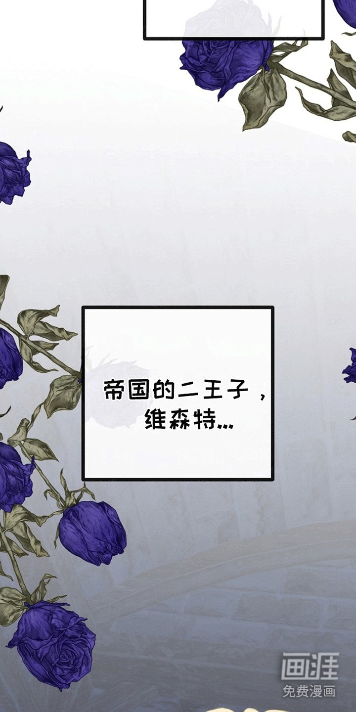 第1章：她的未婚夫