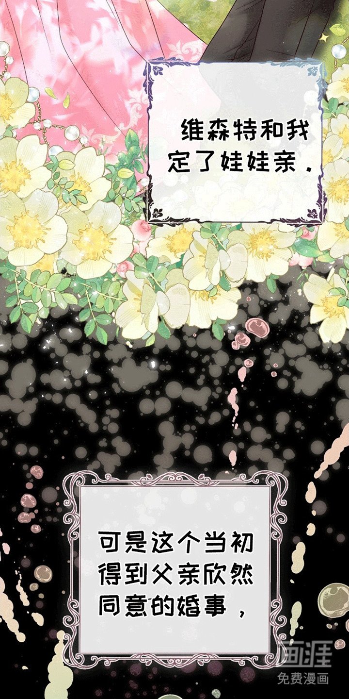 第1章：她的未婚夫