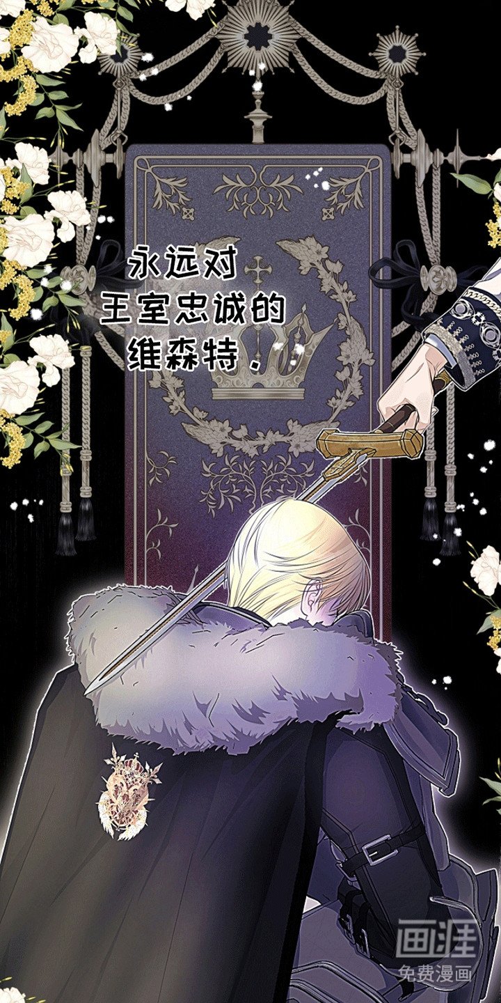 第11章：见面
