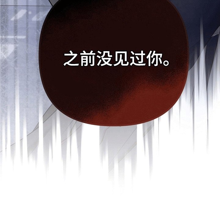 第11章：见面