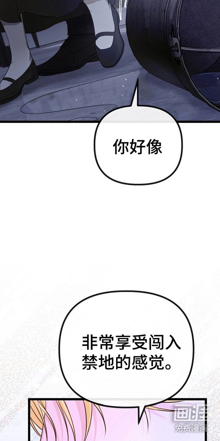 第11章：见面